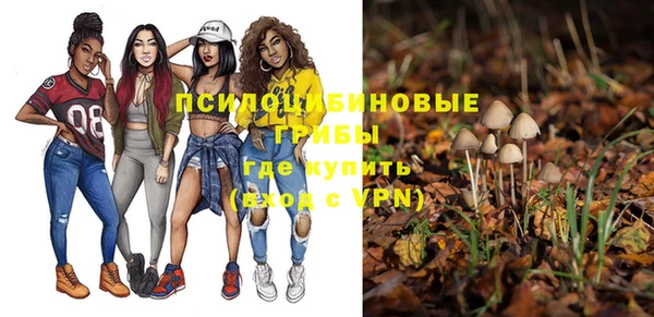 прущая мука Краснослободск