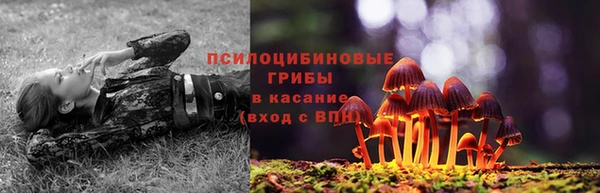 2c-b Абинск
